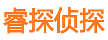 龙湖侦探公司